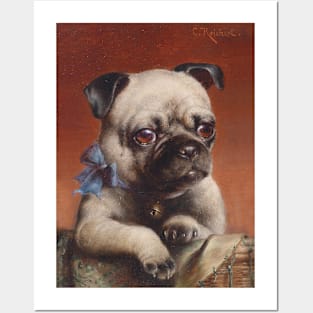 Young Pug by Carl Reichert Posters and Art